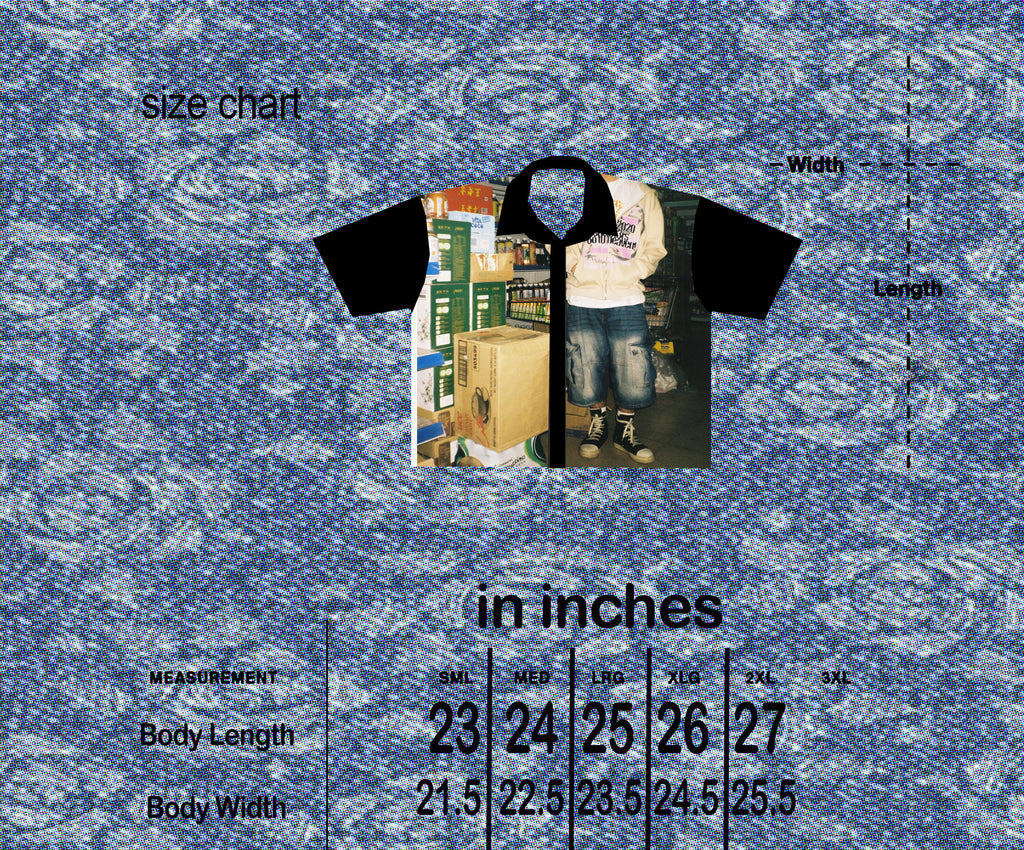 HP BRIGS BUTTONDOWN